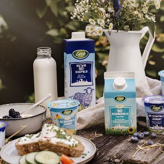 Schaf- und Ziegenmilchprodukte auf Holztisch mit Dekoration