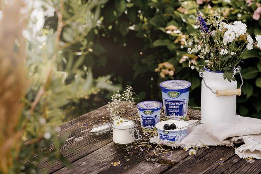 Schaf-Naturjoghurt in großem und kleinem Becher auf Holztisch mit Blumen