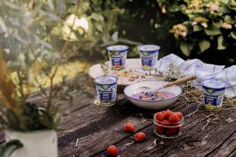 Schaf-Fruchtjoghurt in verschiedenen Sorten mit Müslischale und Himbeeren
