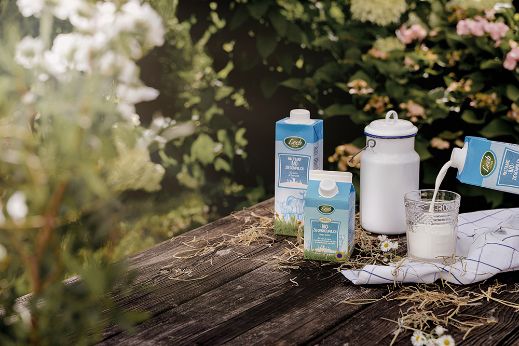 Ziegenmilch in kleinem und großen Format auf Holztisch mit Milchkanne