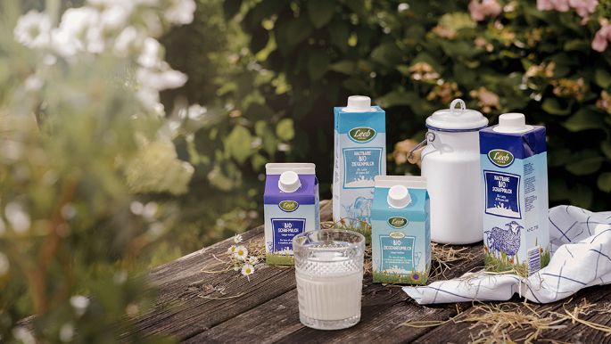 Schaf- und Ziegenmilch in großem und kleinem Format auf Holztisch 