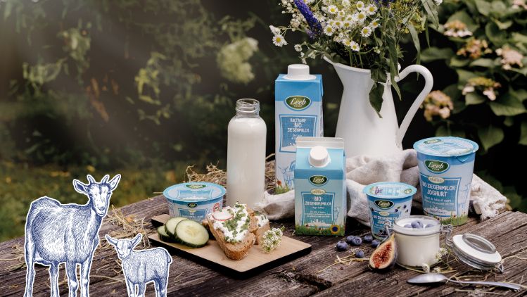 Sortiment von Ziegenmilchprodukten auf Holztisch mit Dekoration